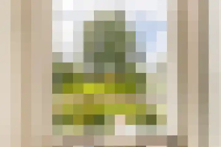 Tulpenveld 212 Castricum thumbnail 35