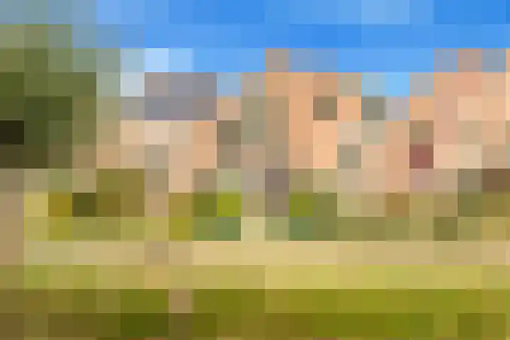 Tulpenveld 212 Castricum thumbnail 5