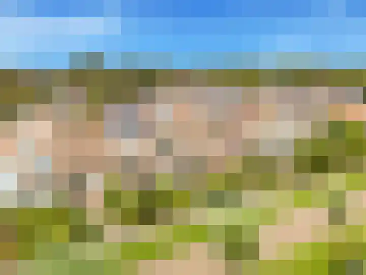 Tulpenveld 212 Castricum thumbnail 53