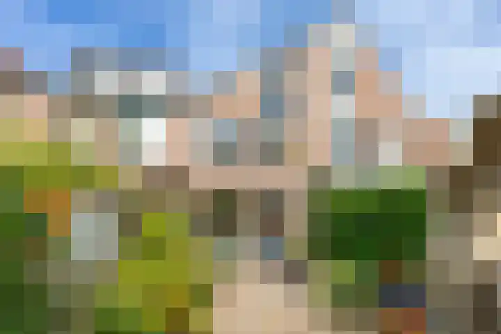 Tulpenveld 38 Castricum thumbnail 31