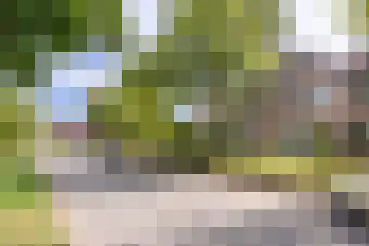Tulpenveld 38 Castricum thumbnail 34