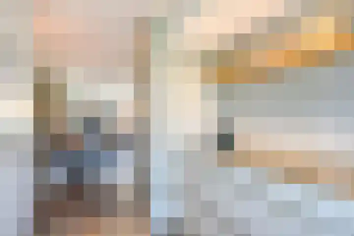 Tulpplantsoen 11 Berkel en Rodenrijs thumbnail 12