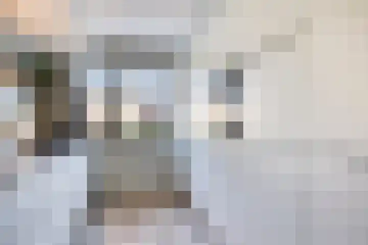 Tulpplantsoen 11 Berkel en Rodenrijs thumbnail 13