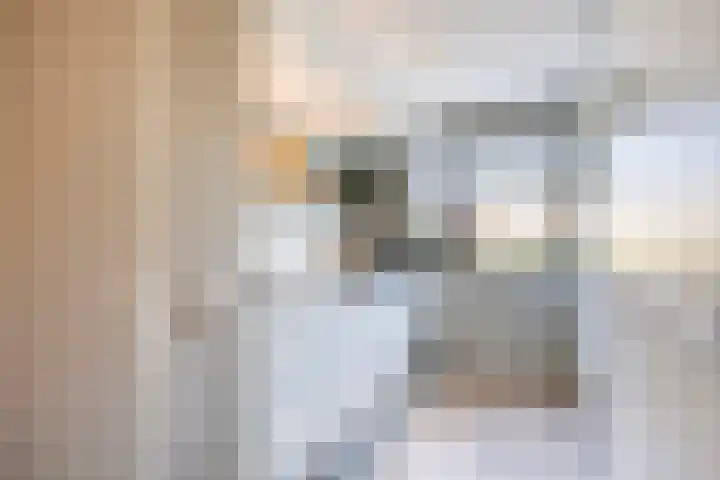 Tulpplantsoen 11 Berkel en Rodenrijs thumbnail 15
