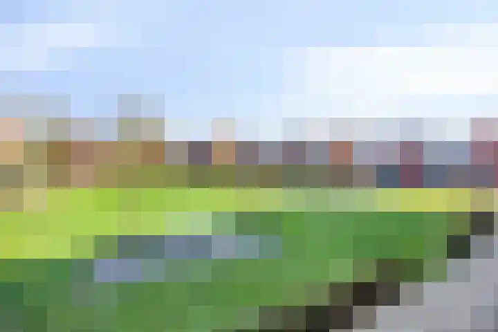 Tulpplantsoen 11 Berkel en Rodenrijs thumbnail 21