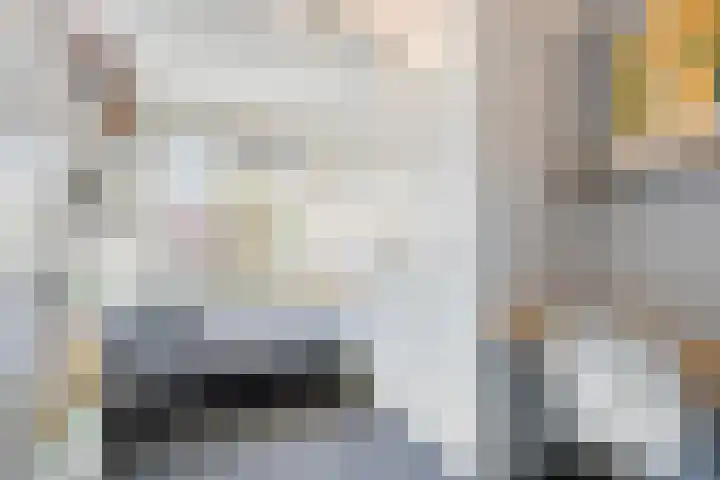 Tulpplantsoen 11 Berkel en Rodenrijs thumbnail 22