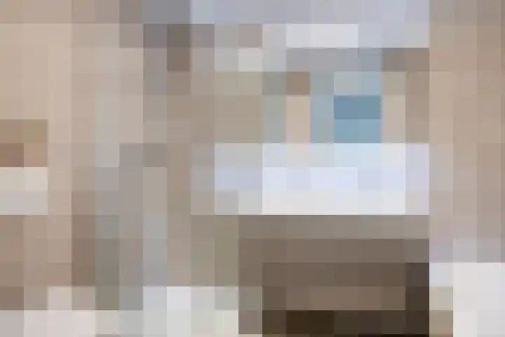 Tulpplantsoen 11 Berkel en Rodenrijs thumbnail 26