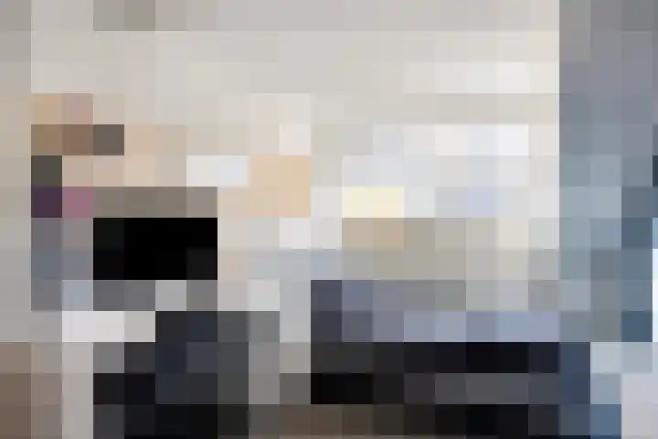 Tulpplantsoen 11 Berkel en Rodenrijs thumbnail 31