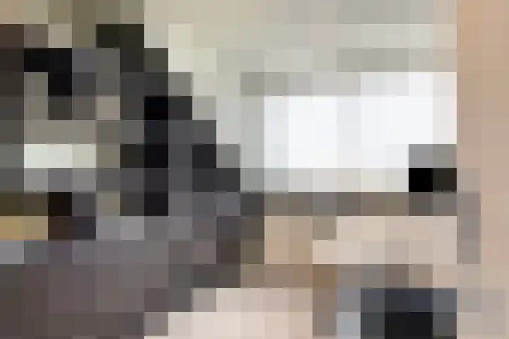 Tulpplantsoen 11 Berkel en Rodenrijs thumbnail 32