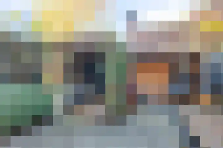 Tulpplantsoen 11 Berkel en Rodenrijs thumbnail 37