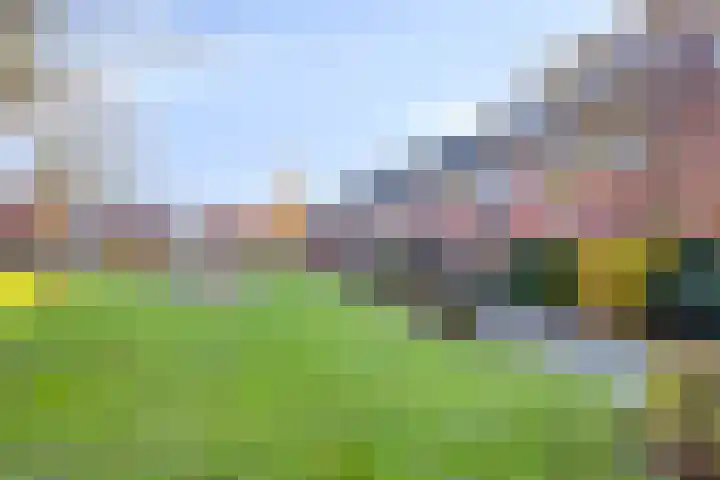 Tulpplantsoen 11 Berkel en Rodenrijs thumbnail 45