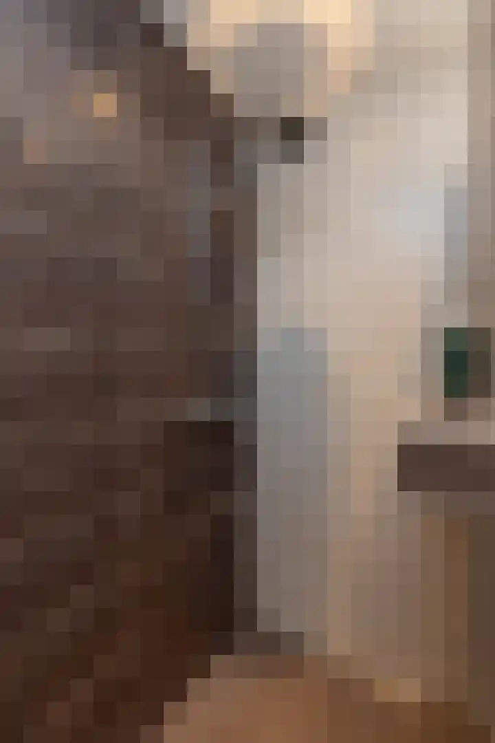 Tulpstraat 1 Hilversum thumbnail 17