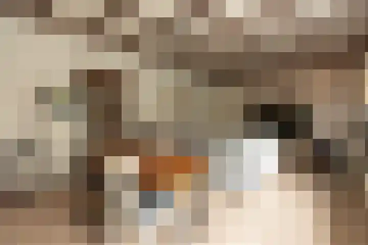 Tulpstraat 1 Hilversum thumbnail 20