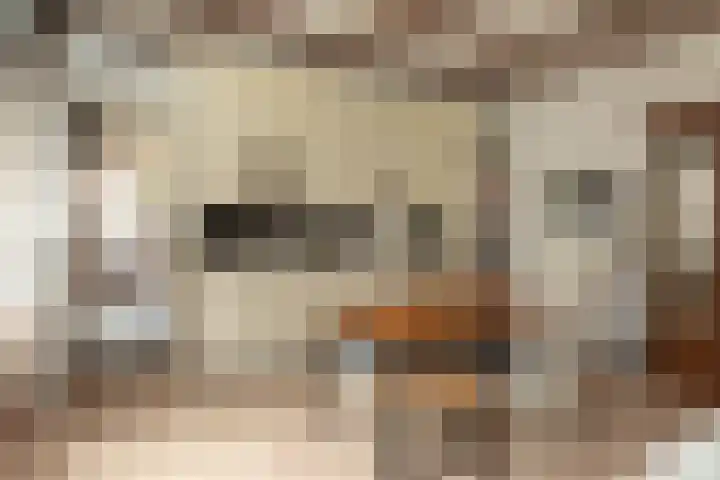 Tulpstraat 1 Hilversum thumbnail 22