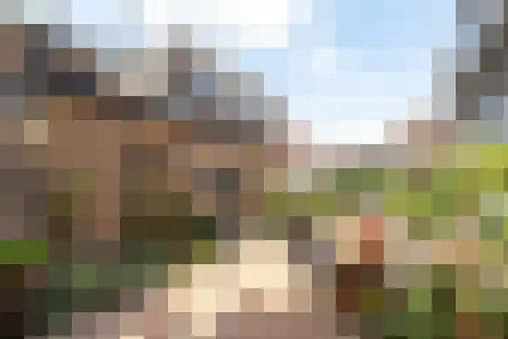 Tulpstraat 1 Hilversum thumbnail 29
