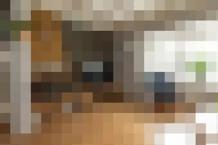 Tulpstraat 1 Hilversum thumbnail 5
