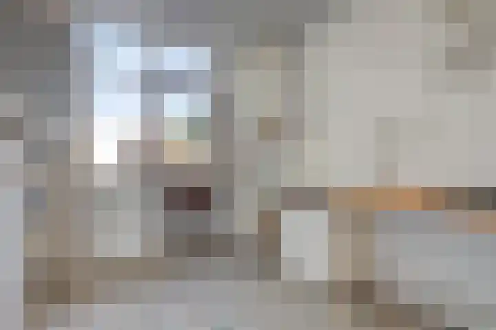 Tulpstraat 1 Koudekerke thumbnail 10