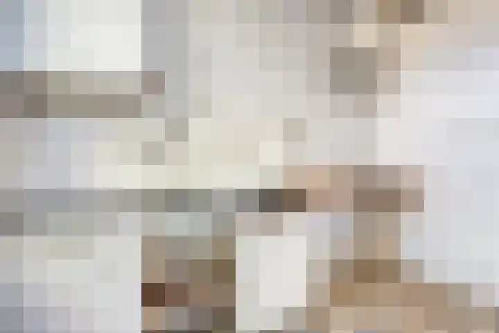 Tulpstraat 1 Koudekerke thumbnail 11