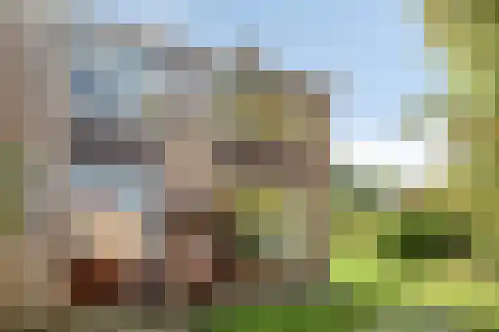 Tulpstraat 1 Koudekerke thumbnail 22