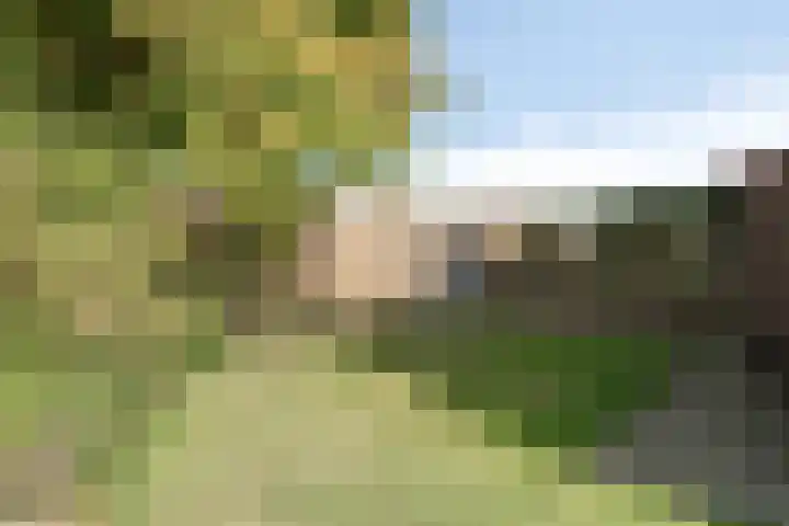 Tulpstraat 1 Koudekerke thumbnail 23
