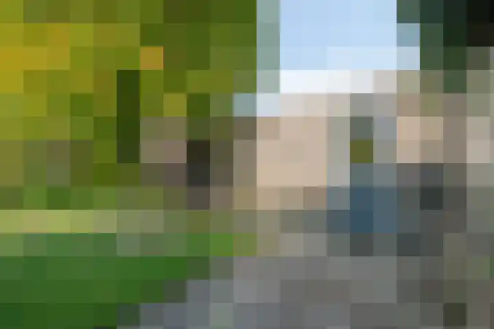Tulpstraat 1 Koudekerke thumbnail 24