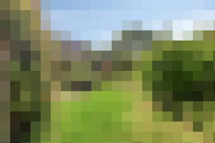 Tulpstraat 1 Koudekerke thumbnail 25