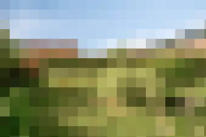 Tulpstraat 1 Koudekerke thumbnail 26