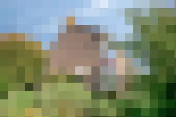 Tulpstraat 1 Koudekerke thumbnail 27