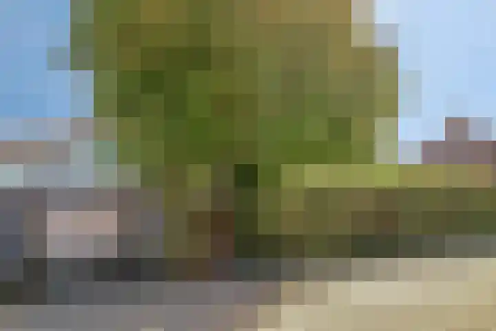 Tulpstraat 1 Koudekerke thumbnail 28