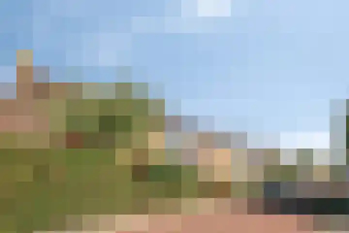 Tulpstraat 1 Koudekerke thumbnail 31