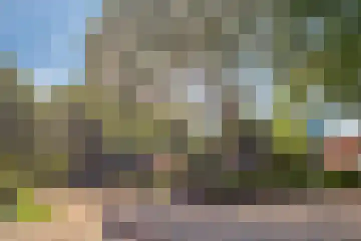 Tulpstraat 1 Koudekerke thumbnail 32