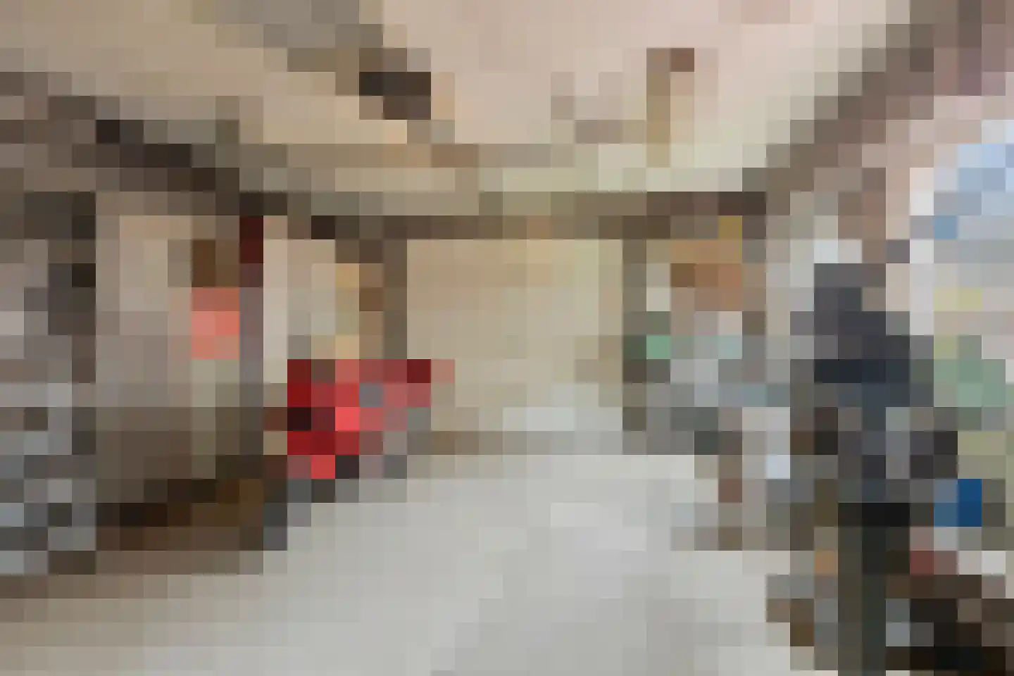 Tulpstraat 1 Oss thumbnail 21