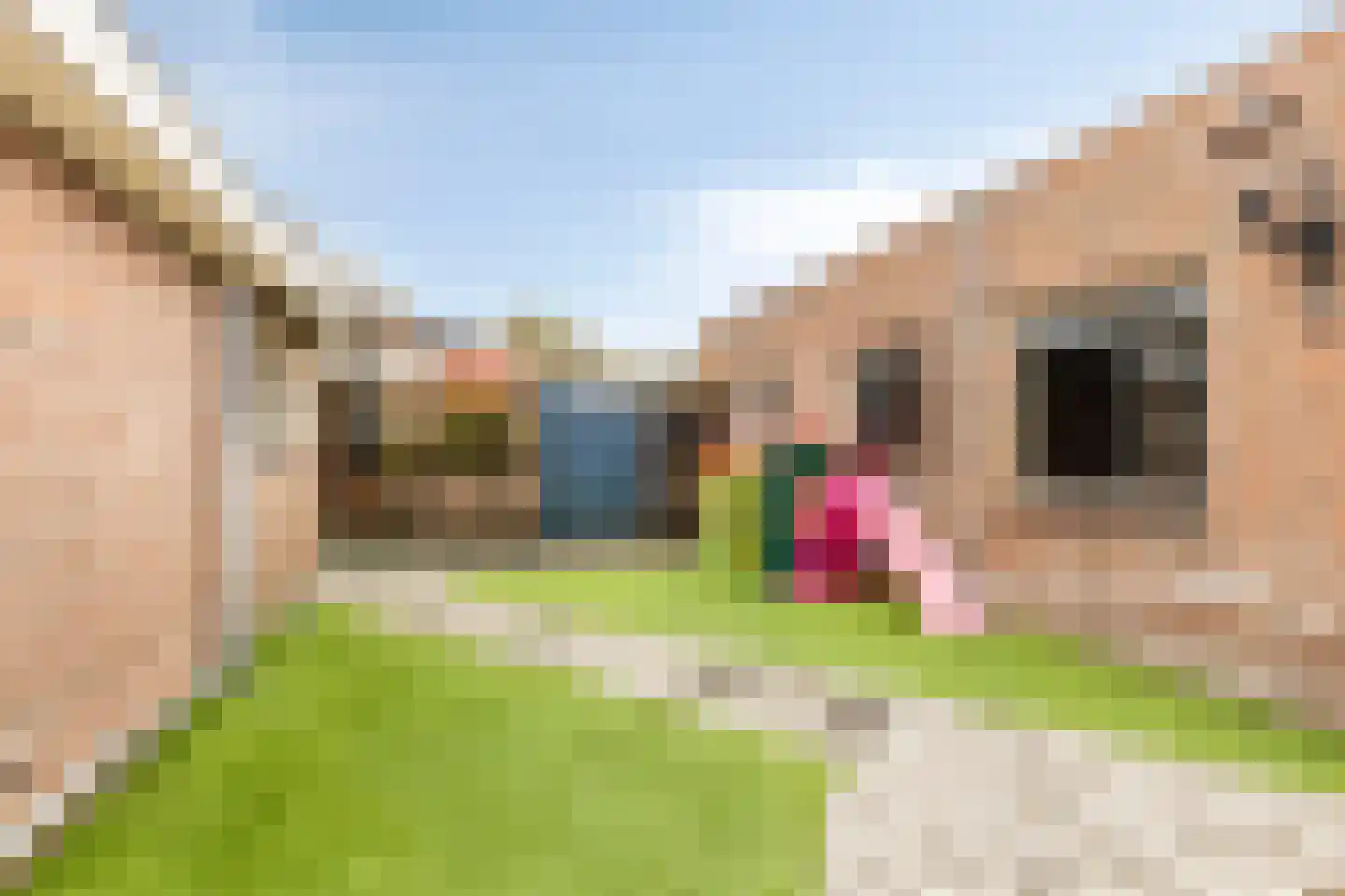 Tulpstraat 1 Oss thumbnail 22
