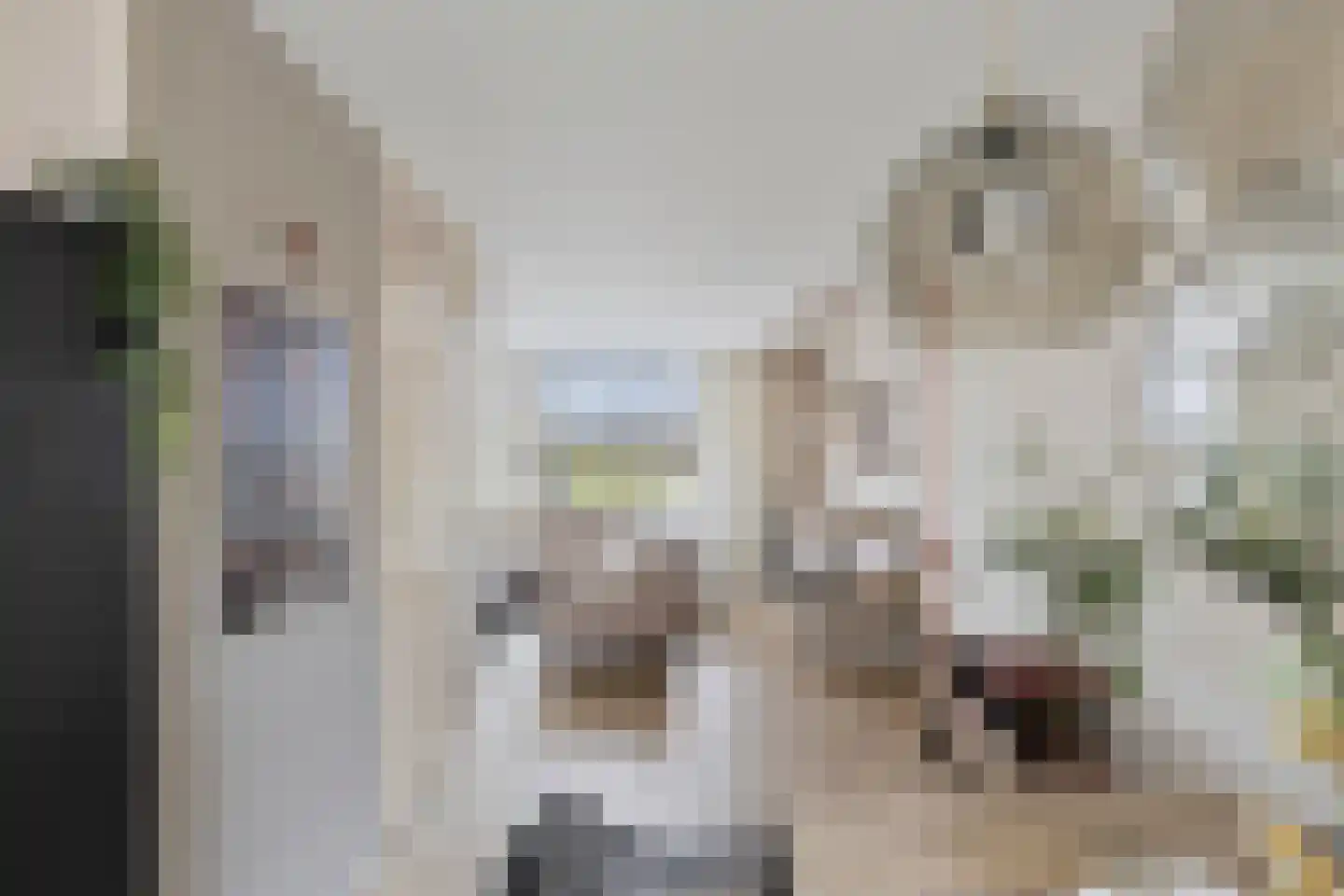 Tulpstraat 1 Oss thumbnail 5