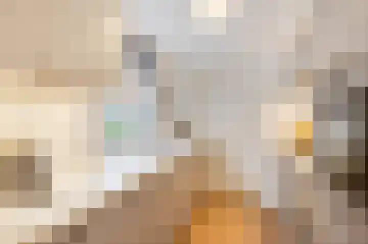 Tulpstraat 1 Tiel thumbnail 10