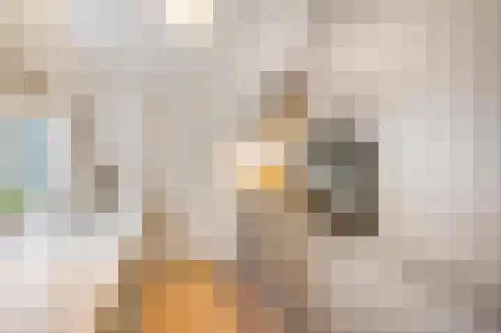 Tulpstraat 1 Tiel thumbnail 15