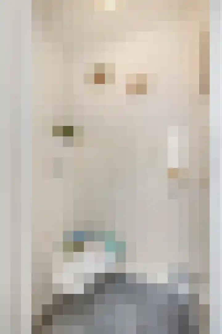 Tulpstraat 1 Tiel thumbnail 21