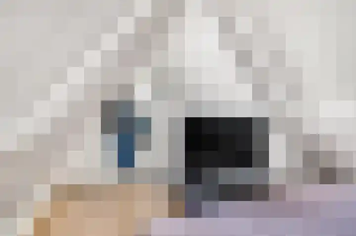Tulpstraat 1 Tiel thumbnail 29
