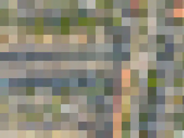 Tulpstraat 1 Tiel thumbnail 34