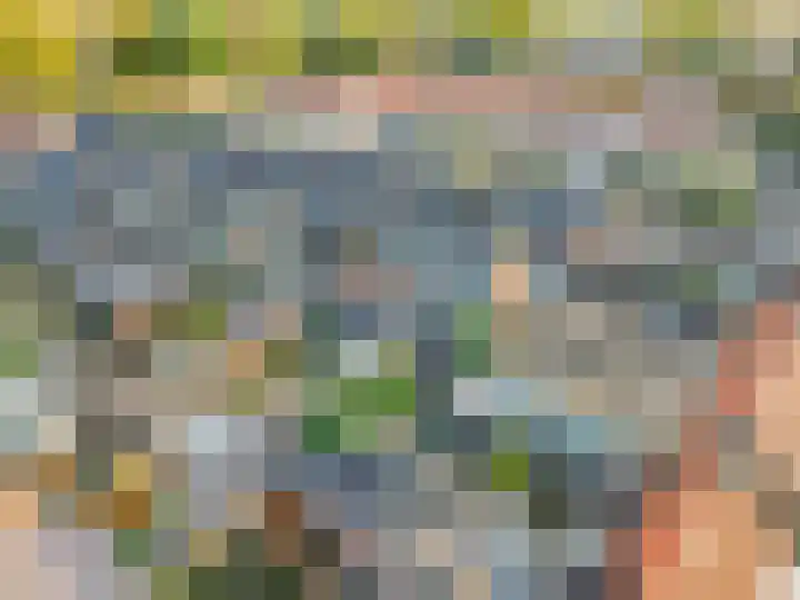 Tulpstraat 1 Tiel thumbnail 35