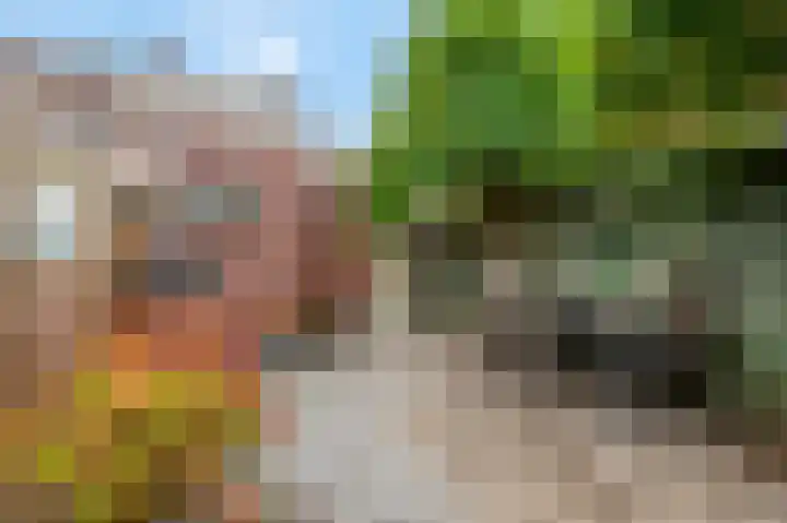 Tulpstraat 1 Tiel thumbnail 4