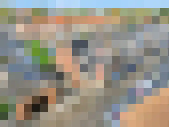 Tulpstraat 1 Tiel thumbnail 5
