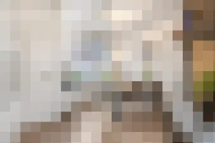 Tulpstraat 1 Tiel thumbnail 7