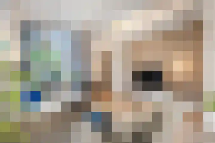 Tulpstraat 1 Tiel thumbnail 9