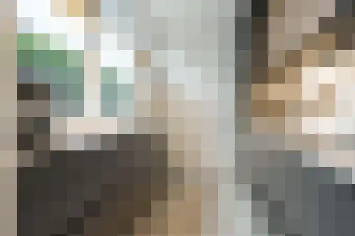 Tulpstraat 1 Zeist thumbnail 10