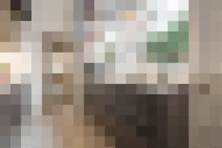 Tulpstraat 1 Zeist thumbnail 11