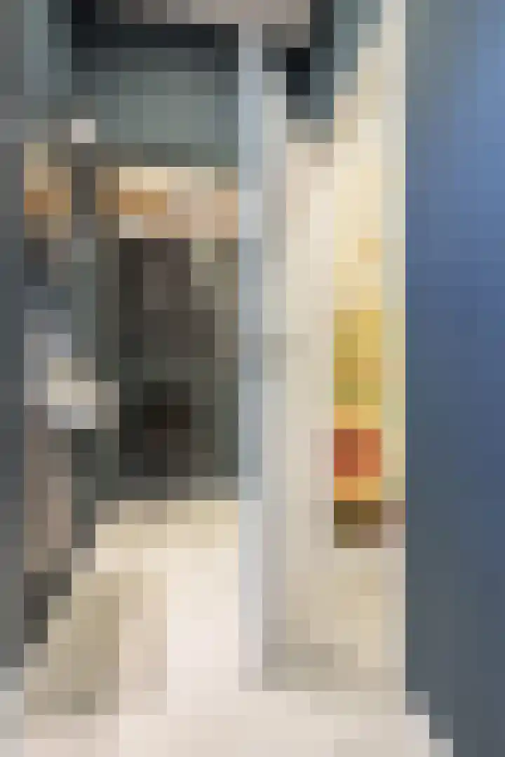 Tulpstraat 1 Zeist thumbnail 12