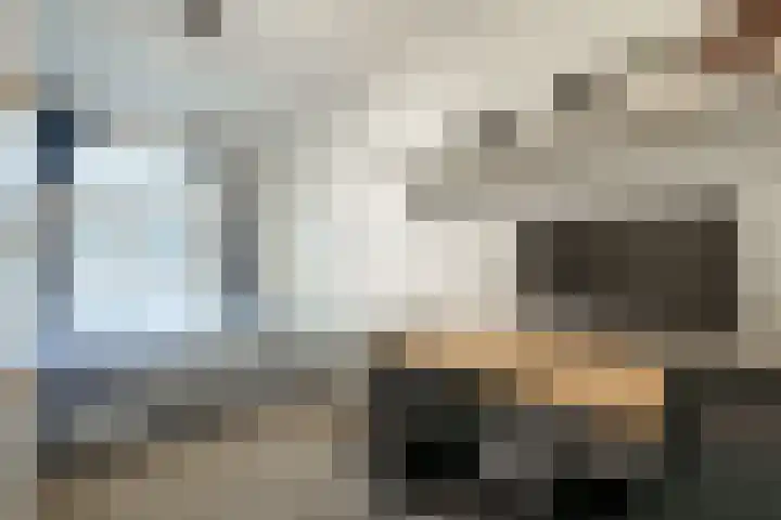 Tulpstraat 1 Zeist thumbnail 14