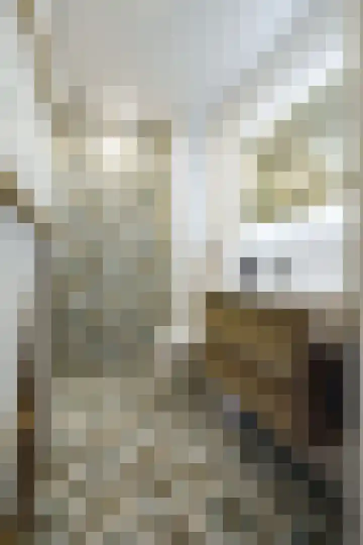 Tulpstraat 1 Zeist thumbnail 16