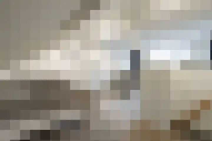 Tulpstraat 1 Zeist thumbnail 19